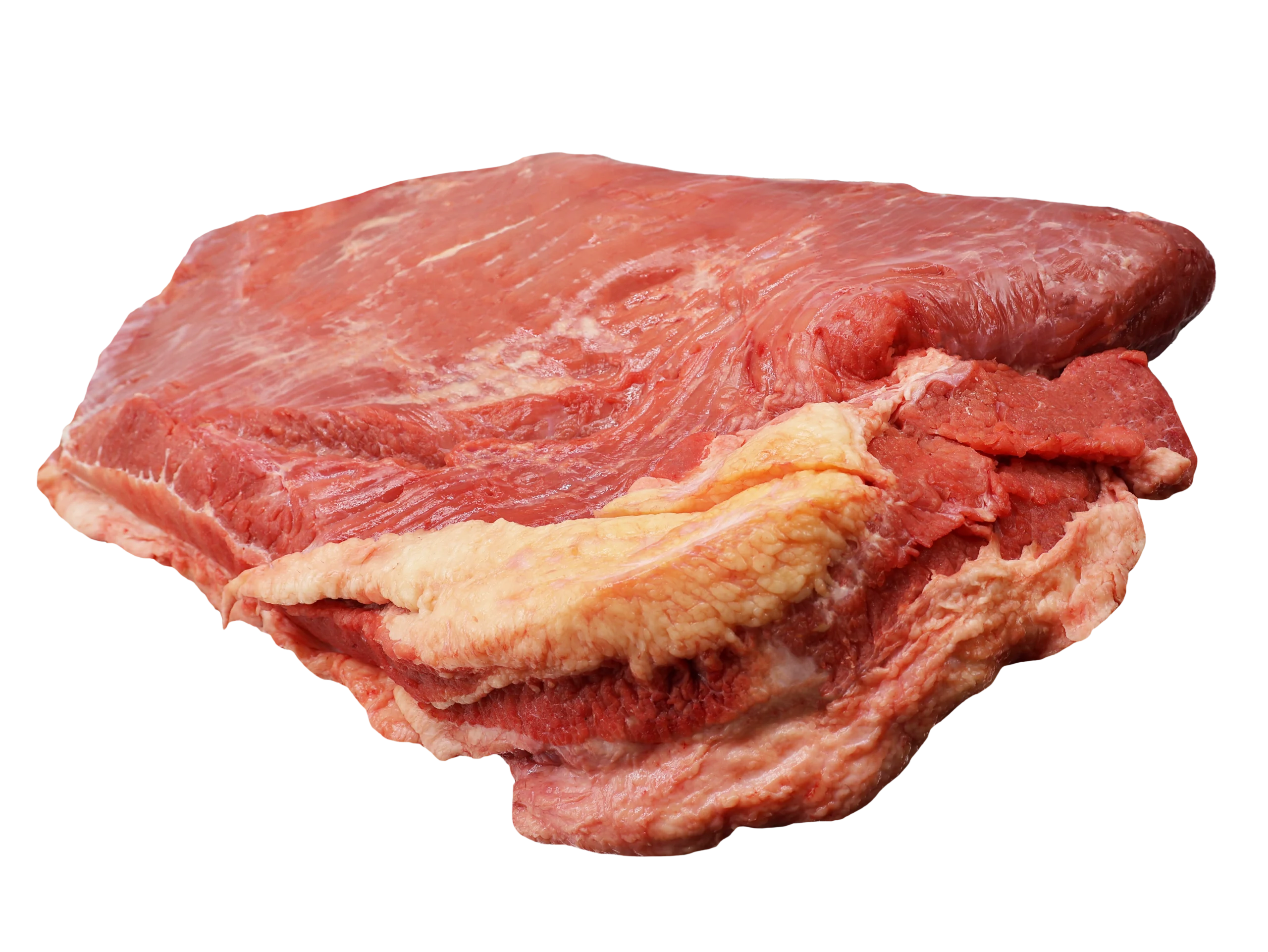 GẦU BÒ FRESHFOCO