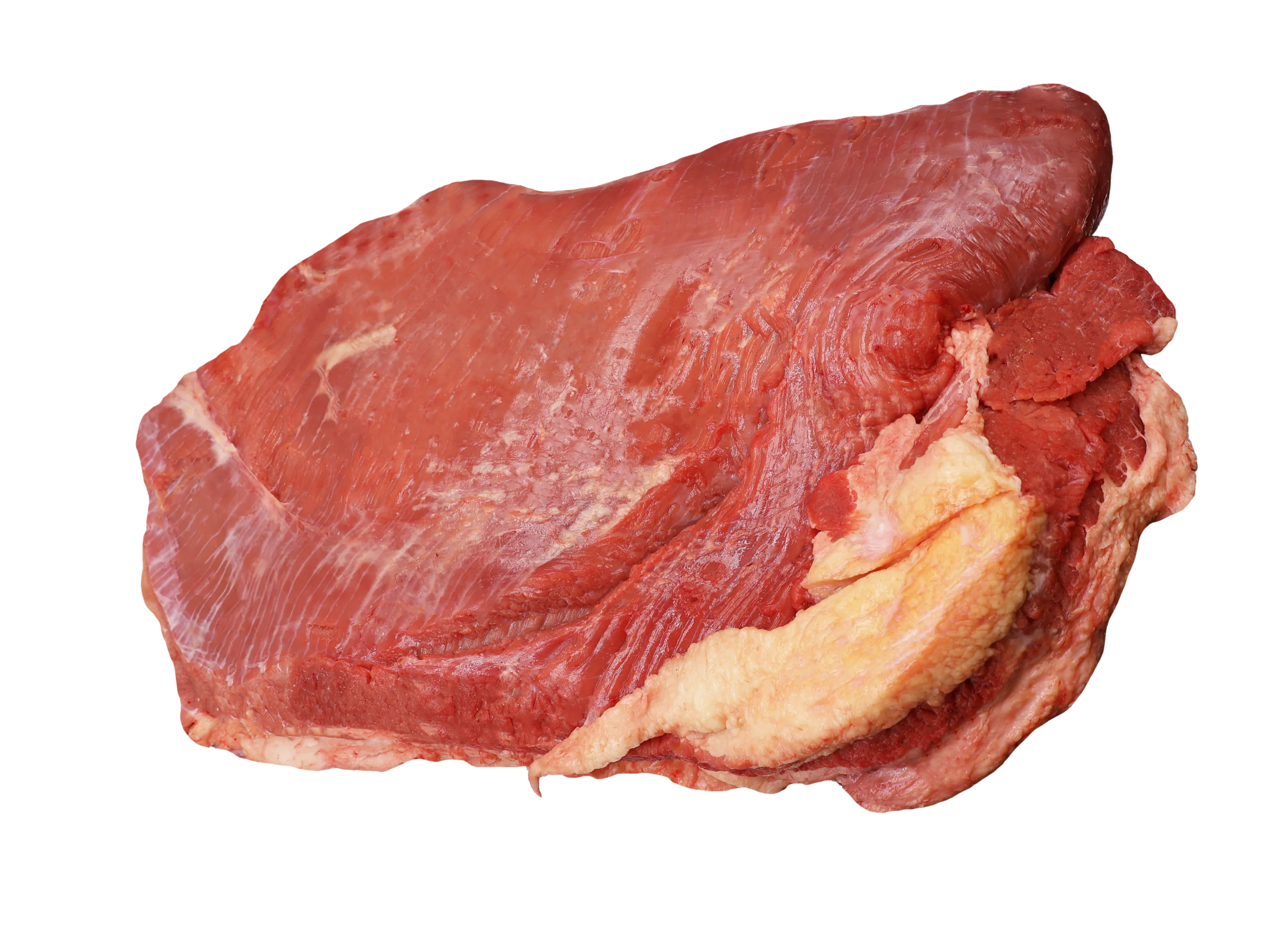 Gầu bò FRESHFOCO