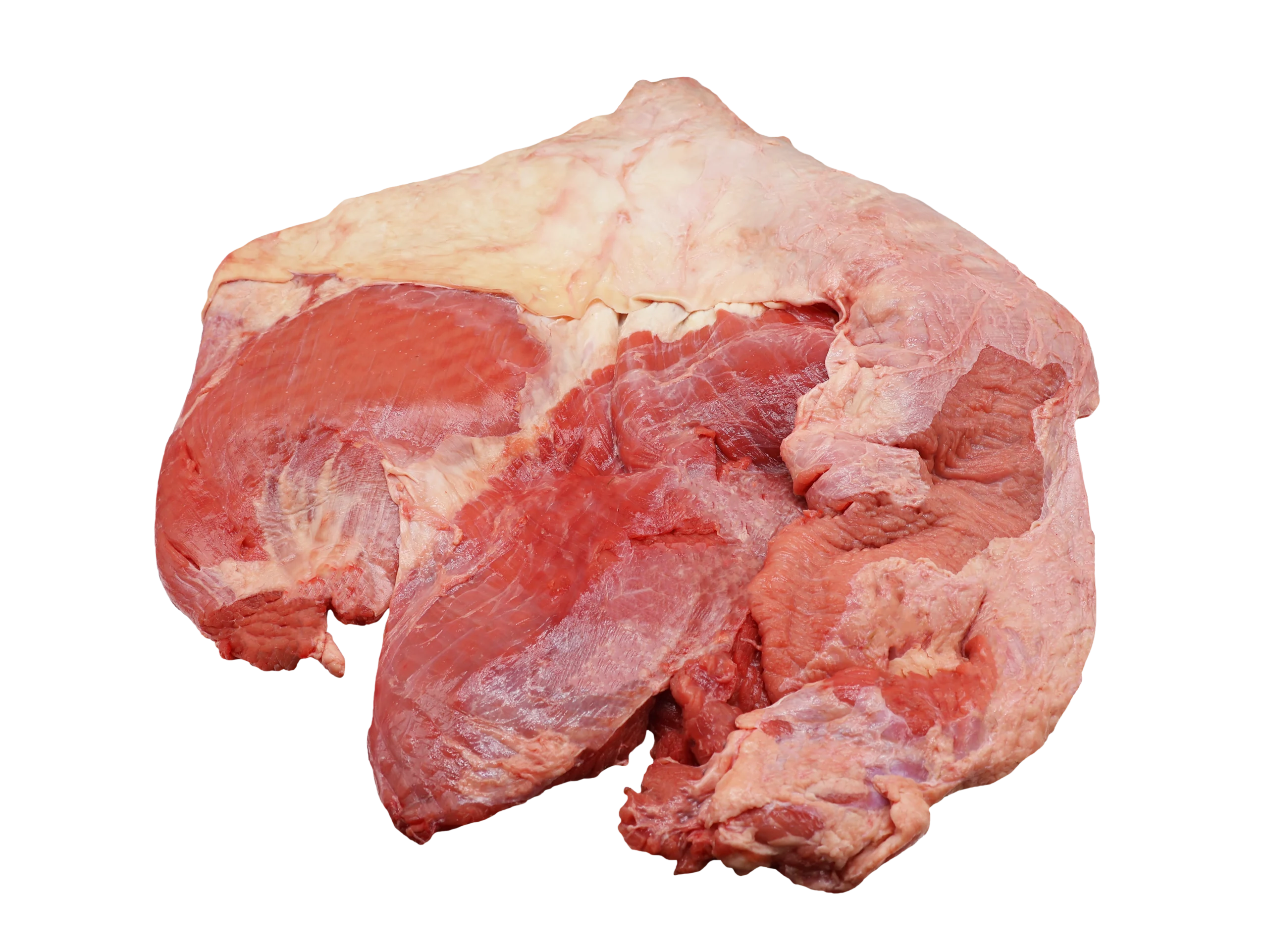 Gầu bò FRESHFOCO